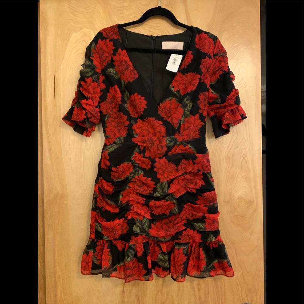 NWT Keepsake Rose Dress